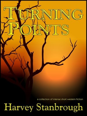 cover image of Turning Points